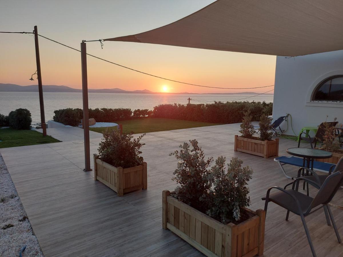 Dionysus House And Ariadne Apartment สเตลิดา ภายนอก รูปภาพ